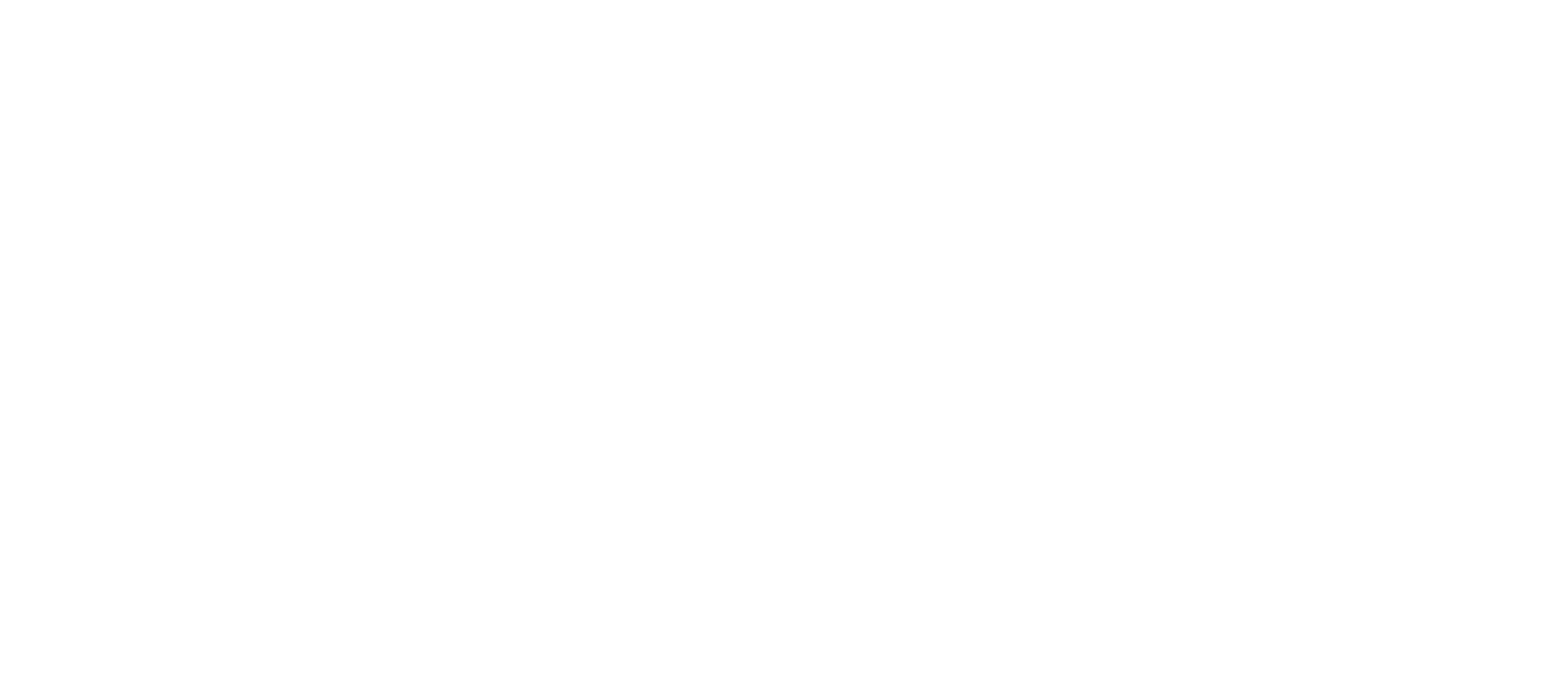 VXD official logo